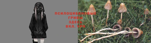 эйфоретик Алзамай