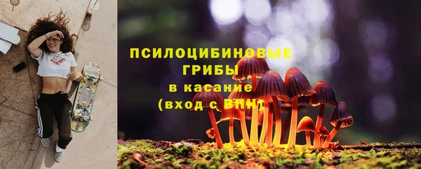 шишки Алексеевка