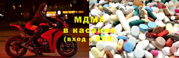 дживик Ельня