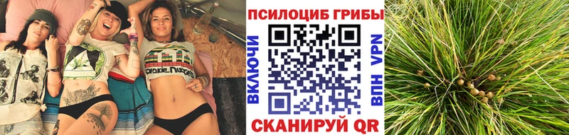 гидра зеркало  Набережные Челны  Псилоцибиновые грибы MAGIC MUSHROOMS  купить наркоту 